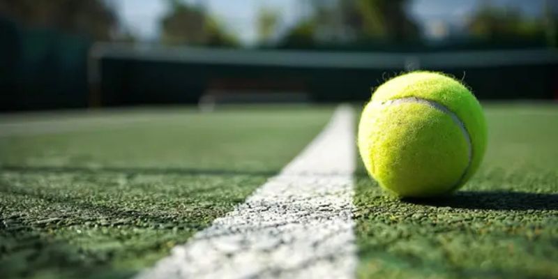 Kinh nghiệm cá cược tennis hay nhất từ cộng đồng cao thủ